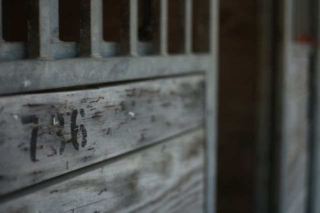 IMG_2455