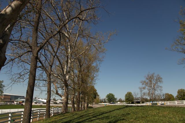 IMG_2663